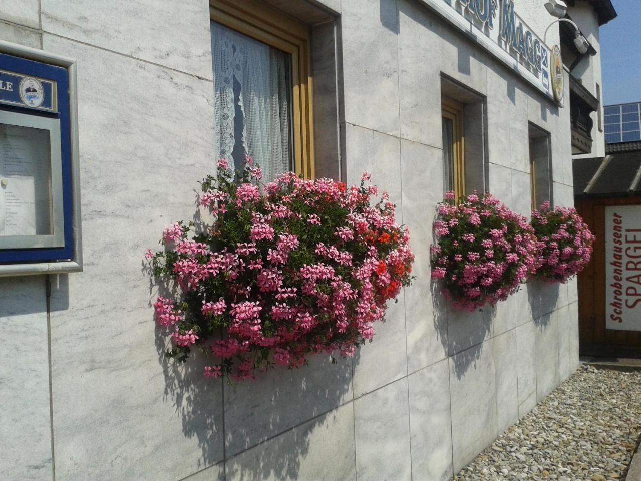 Gasthof Magg Hotel Biberbach  Esterno foto